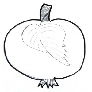 Vykrajovátko - Jablko kulaté velké 12 cm - 