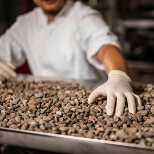 Pražené kakaové bôby výberová odroda Criollo - 1 kg -