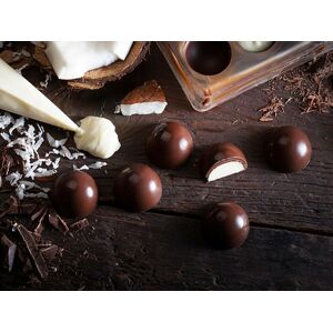 Kokosová náplň do pralinek Tintoretto Coconut - 500 g - Callebaut