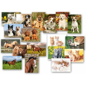 Pohľadnice Zvieratá MIX - MFP Paper