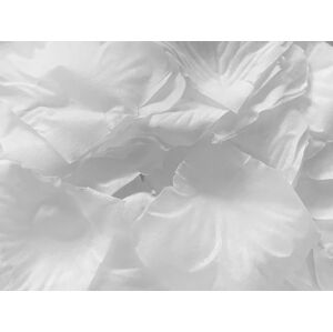 Okvetné lístky bielych ruží - nejedlá dekorácia - PartyDeco