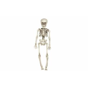 Skeleton - Kostra na zavesenie 40 cm - Halloween - GUIRCA